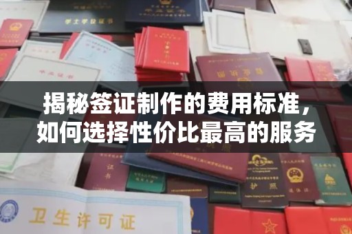 万宁揭秘签证制作的费用标准，如何选择性价比最高的服务？