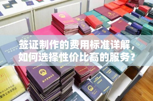 万宁签证制作的费用标准详解，如何选择性价比高的服务？