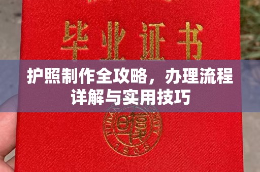 万宁护照制作全攻略，办理流程详解与实用技巧